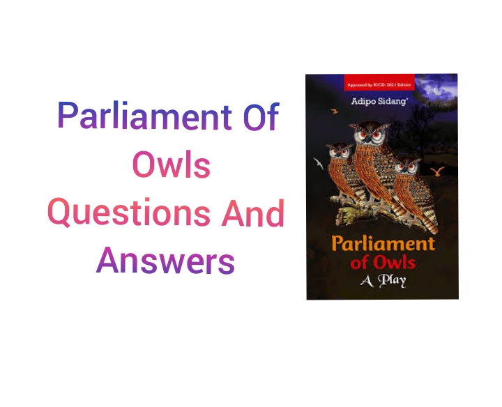 Parliament Of Owls Questions And Answers